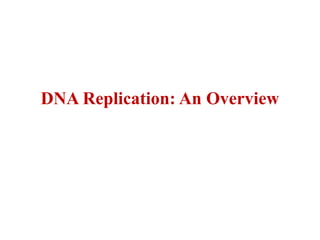 DNA Replication: An Overview
 
