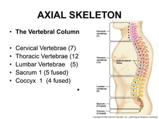 Human Anatomy Lecture 2 General Anatomy.pptx