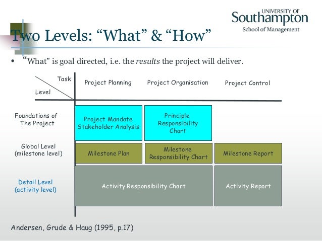 Goal directed project management