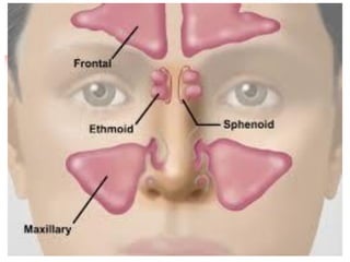 Head Schema Comprehensive Health Assessment and Head & Neck Examination Techniques ...