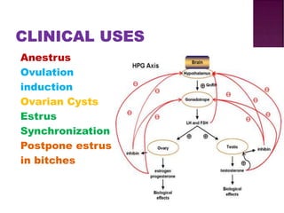 Lecture 2 hormones of reproduction in domestic animals | PDF