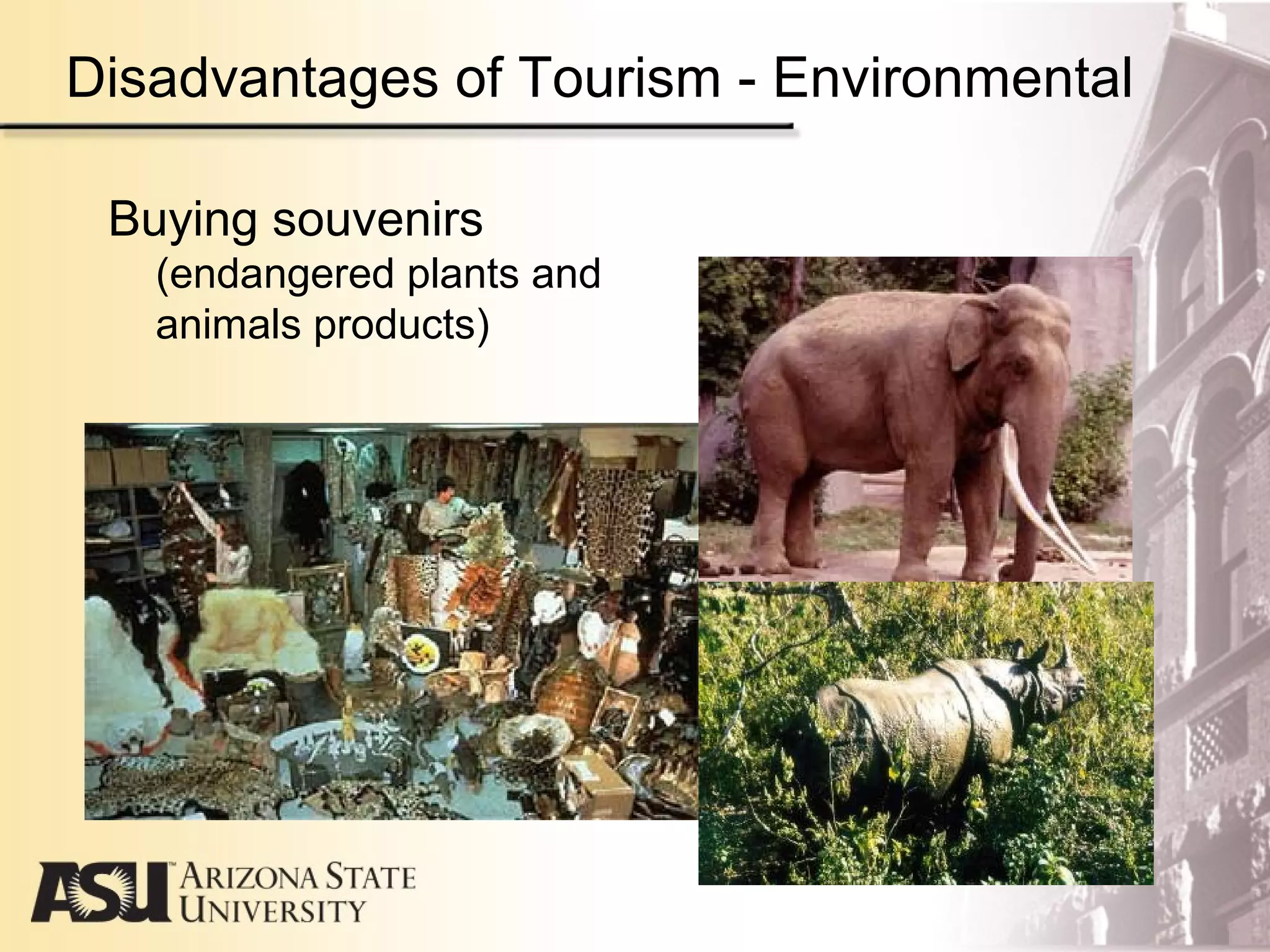 Disadvantages of Tourism - Environmental
Buying souvenirs
(endangered plants and
animals products)
 