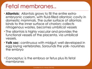 Comprehensive Lecture on Implantation and Placentation in Mammalian ...