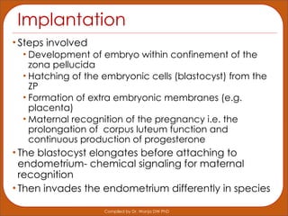 Comprehensive Lecture on Implantation and Placentation in Mammalian ...