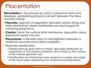 Comprehensive Lecture on Implantation and Placentation in Mammalian ...