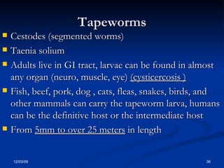 Tapeworms Cestodes (segmented worms) Taenia solium Adults live in GI tract, larvae can be found in almost any organ (neuro, muscle, eye)  (cysticercosis ) Fish, beef, pork, dog , cats, fleas, snakes, birds, and other mammals can carry the tapeworm larva, humans can be the definitive host or the intermediate host From  5mm to over 25 meters  in length 