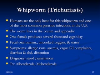 Whipworm (Trichuriasis) Humans are the only host for this whipworm and one of the most common parasitic infections in the U.S. The worm lives in the cecum and appendix One female produces several thousand eggs/day Fecal-oral transm., uncooked veggies, & water Symptoms: allergic rxns, anemia, vague GI complaints, diarrhea & abd. distention Diagnosis: stool examination Tx: Albendazole, Mebendazole 