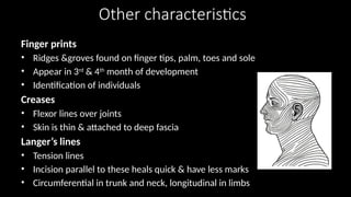 Other characteristics
Finger prints
• Ridges &groves found on finger tips, palm, toes and sole
• Appear in 3rd
& 4th
month of development
• Identification of individuals
Creases
• Flexor lines over joints
• Skin is thin & attached to deep fascia
Langer’s lines
• Tension lines
• Incision parallel to these heals quick & have less marks
• Circumferential in trunk and neck, longitudinal in limbs
 