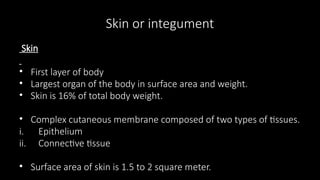 Skin or integument
Skin
• First layer of body
• Largest organ of the body in surface area and weight.
• Skin is 16% of total body weight.
• Complex cutaneous membrane composed of two types of tissues.
i. Epithelium
ii. Connective tissue
• Surface area of skin is 1.5 to 2 square meter.
 