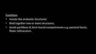 Functions
• Invests the anatomic structures
• Bind together two or more structures.
• Sends partitions & form fascial compartments e.g; pectoral fascia,
flexor retinaculum.
 