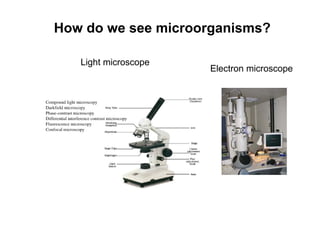 How do we see microorganisms?
Light microscope
Electron microscope
 