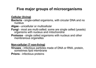 Cellular (living)
Bacteria - single-celled organisms, with circular DNA and no
nucleus
Algae - unicellular or multicellular
Fungi - most are multi-celled; some are single celled (yeasts)
organisms with nucleus and mitochondria
Protozoa - single celled organisms with nucleus and other
membranous organelles
Non-cellular (? non-living)
Viruses - infectious particles made of DNA or RNA, protein,
sometimes lipid membrane
Prions - infectious proteins
Five major groups of microorganisms
 