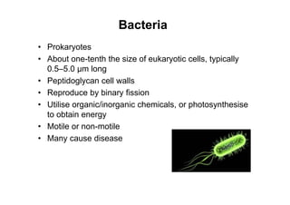 Bacteria
• Prokaryotes
• About one-tenth the size of eukaryotic cells, typically
0.5–5.0 µm long
• Peptidoglycan cell walls
• Reproduce by binary fission
• Utilise organic/inorganic chemicals, or photosynthesise
to obtain energy
• Motile or non-motile
• Many cause disease
 