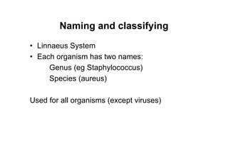 Naming and classifying
• Linnaeus System
• Each organism has two names:
Genus (eg Staphylococcus)
Species (aureus)
Used for all organisms (except viruses)
 