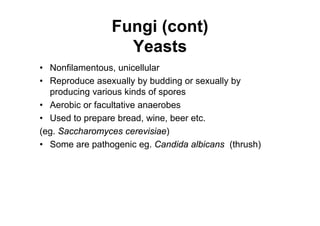 Fungi (cont)
Yeasts
• Nonfilamentous, unicellular
• Reproduce asexually by budding or sexually by
producing various kinds of spores
• Aerobic or facultative anaerobes
• Used to prepare bread, wine, beer etc.
(eg. Saccharomyces cerevisiae)
• Some are pathogenic eg. Candida albicans (thrush)
 