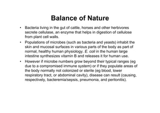Balance of Nature
• Bacteria living in the gut of cattle, horses and other herbivores
secrete cellulase, an enzyme that helps in digestion of cellulose
from plant cell walls.
• Populations of microbes (such as bacteria and yeasts) inhabit the
skin and mucosal surfaces in various parts of the body as part of
normal, healthy human physiology. E. coli in the human large
intestine synthesizes vitamin B and releases it for human use.
• However if microbe numbers grow beyond their typical ranges (eg
due to a compromised immune system) or if they populate areas of
the body normally not colonized or sterile (eg blood, lower
respiratory tract, or abdominal cavity), disease can result (causing,
respectively, bacteremia/sepsis, pneumonia, and peritonitis).
 