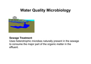 Water Quality Microbiology
Sewage Treatment
Uses heterotrophic microbes naturally present in the sewage
to consume the major part of the organic matter in the
effluent.
 