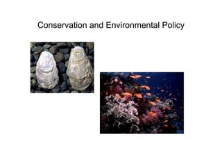 Conservation and Environmental Policy
 