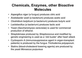 Chemicals, Enzymes, other Bioactive
Molecules
• Aspergillus niger (a fungus) produces citric acid
• Acetobacter aceti (a bacterium) produces acetic acid
• Clostridium butylicum (a bacterium) produces butyric acid
• Lactobacillus (a bacterium) produces lactic acid
• Yeast (Saccharomyces cerevisiae) is used for commercial
production of ethanol.
• Streptokinase produced by Streptococcus and modified by
genetic engineering is used as a ‘clot buster’ after heart attack
• Cyclosporin A (immunosuppressive agent in organ-transplant
patients) is produced by the fungus Trichoderma polysporum.
• Statins (blood-cholesterol lowering agents) are produced by
the yeast Monascus purpureus
 