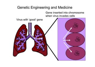 Genetic Engineering and Medicine
Virus with ‘good’ gene
Gene inserted into chromosome
when virus invades cells
 