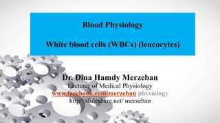 Blood Physiology
White blood cells (WBCs) (leucocytes)
Dr. Dina Hamdy Merzeban
Lecturer of Medical Physiology
www.facebook.com/merzeban physiology
http//:slideshare.net/ merzeban
 