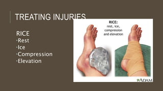 Treating Rice Lecture 2 physical activity,muscle,cardiorespiratory,blood,heart | PPTX