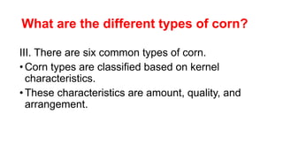 What are the different types of corn?
III. There are six common types of corn.
•Corn types are classified based on kernel
characteristics.
•These characteristics are amount, quality, and
arrangement.
 