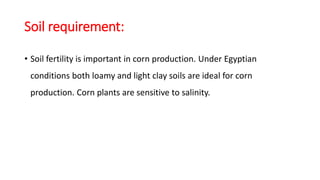 Soil requirement:
• Soil fertility is important in corn production. Under Egyptian
conditions both loamy and light clay soils are ideal for corn
production. Corn plants are sensitive to salinity.
 