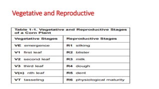 Vegetative and Reproductive
 
