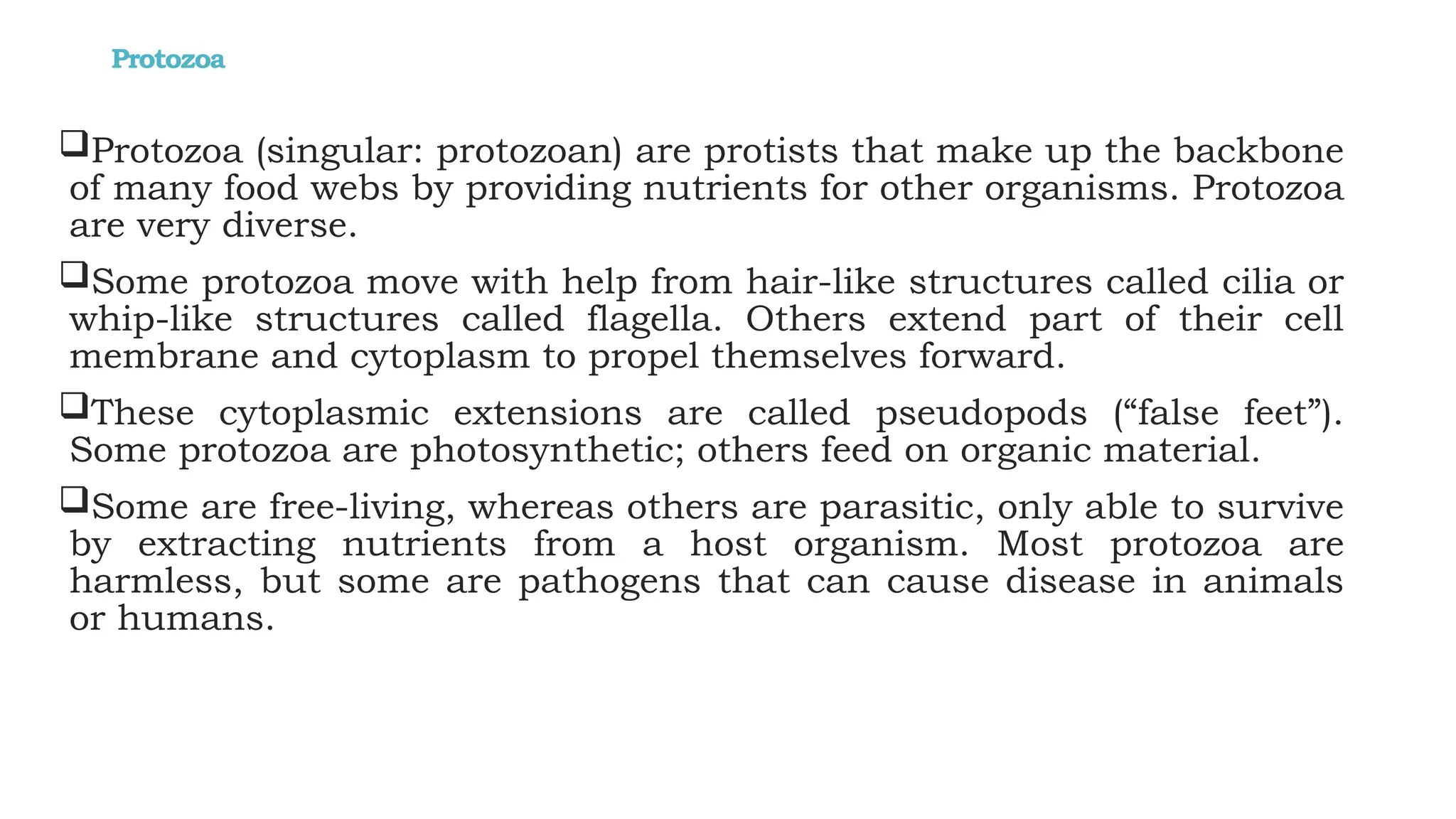 Protozoa
Protozoa (singular: protozoan) are protists that make up the backbone
of many food webs by providing nutrients for other organisms. Protozoa
are very diverse.
Some protozoa move with help from hair-like structures called cilia or
whip-like structures called flagella. Others extend part of their cell
membrane and cytoplasm to propel themselves forward.
These cytoplasmic extensions are called pseudopods (“false feet”).
Some protozoa are photosynthetic; others feed on organic material.
Some are free-living, whereas others are parasitic, only able to survive
by extracting nutrients from a host organism. Most protozoa are
harmless, but some are pathogens that can cause disease in animals
or humans.
 