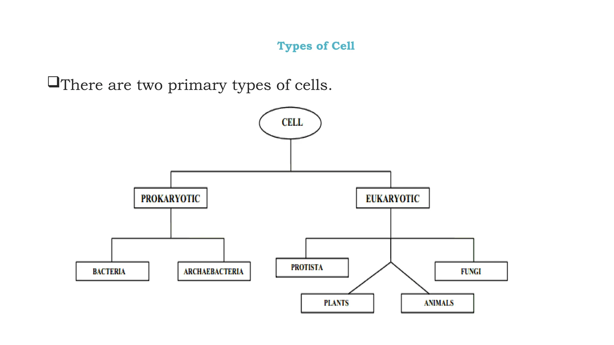 Types of Cell
There are two primary types of cells.
 