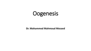 Oogenesis
Dr. Mohammed Mahmoud Mosaed
 