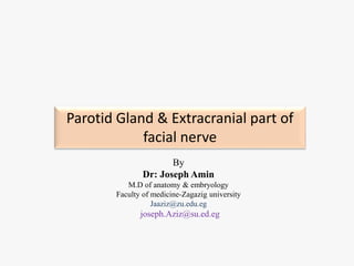 Parotid Gland & Extracranial part of
facial nerve
By
Dr: Joseph Amin
M.D of anatomy & embryology
Faculty of medicine-Zagazig university
Jaaziz@zu.edu.eg
joseph.Aziz@su.ed.eg
 