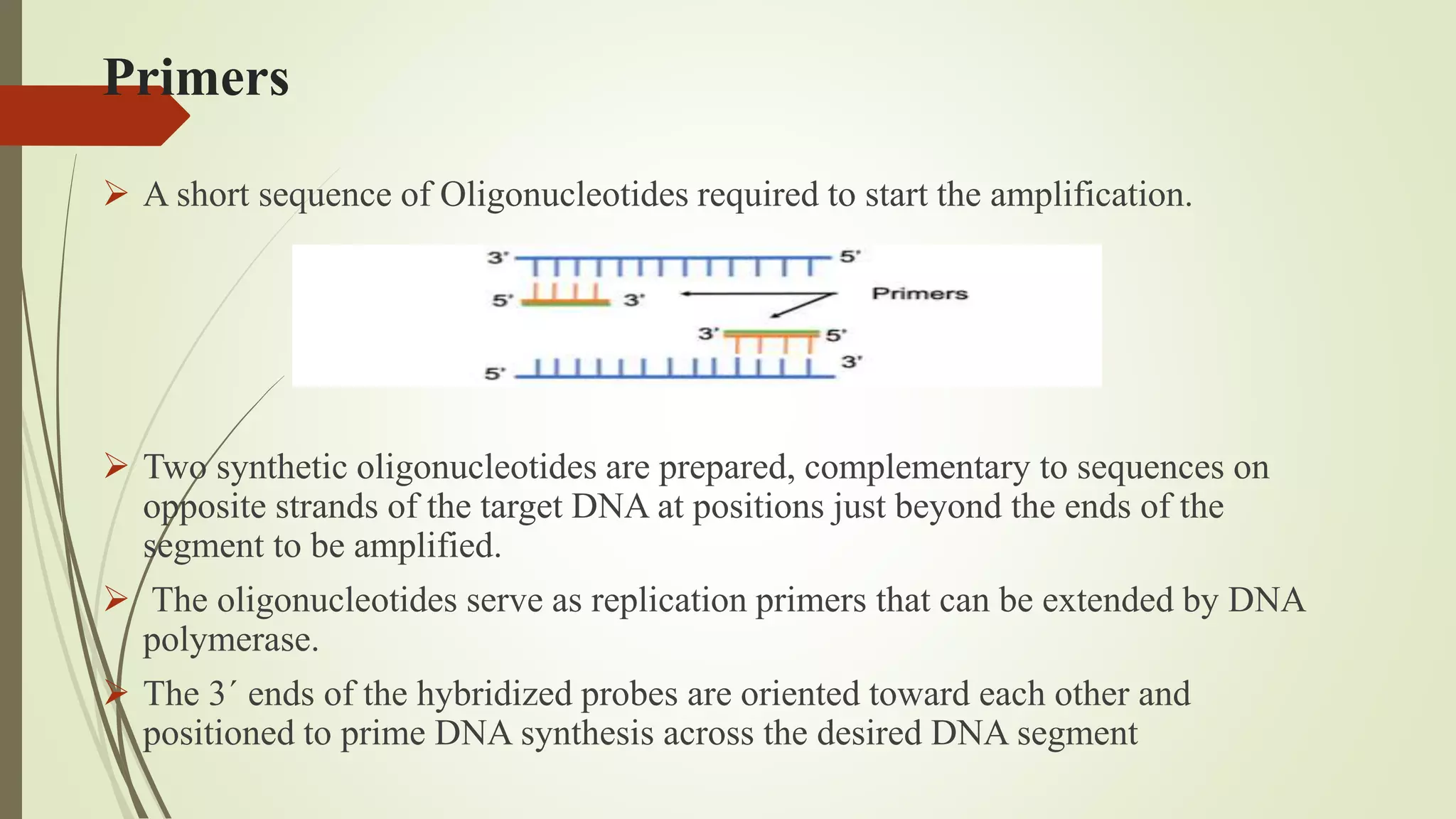 Primers
 A short sequence of Oligonucleotides required to start the amplification.
 Two synthetic oligonucleotides are prepared, complementary to sequences on
opposite strands of the target DNA at positions just beyond the ends of the
segment to be amplified.
 The oligonucleotides serve as replication primers that can be extended by DNA
polymerase.
 The 3´ ends of the hybridized probes are oriented toward each other and
positioned to prime DNA synthesis across the desired DNA segment
 