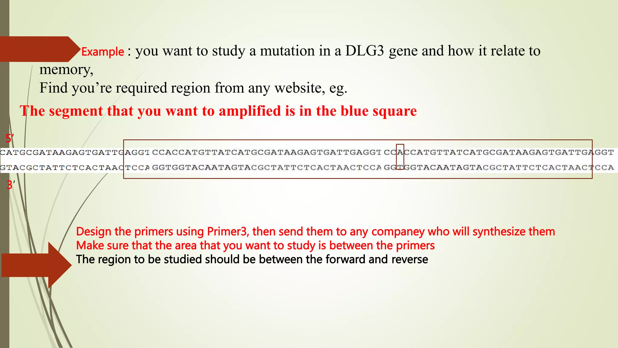 The segment that you want to amplified is in the blue square
5’
3’
Design the primers using Primer3, then send them to any companey who will synthesize them
Make sure that the area that you want to study is between the primers
The region to be studied should be between the forward and reverse
Example : you want to study a mutation in a DLG3 gene and how it relate to
memory,
Find you’re required region from any website, eg.
 