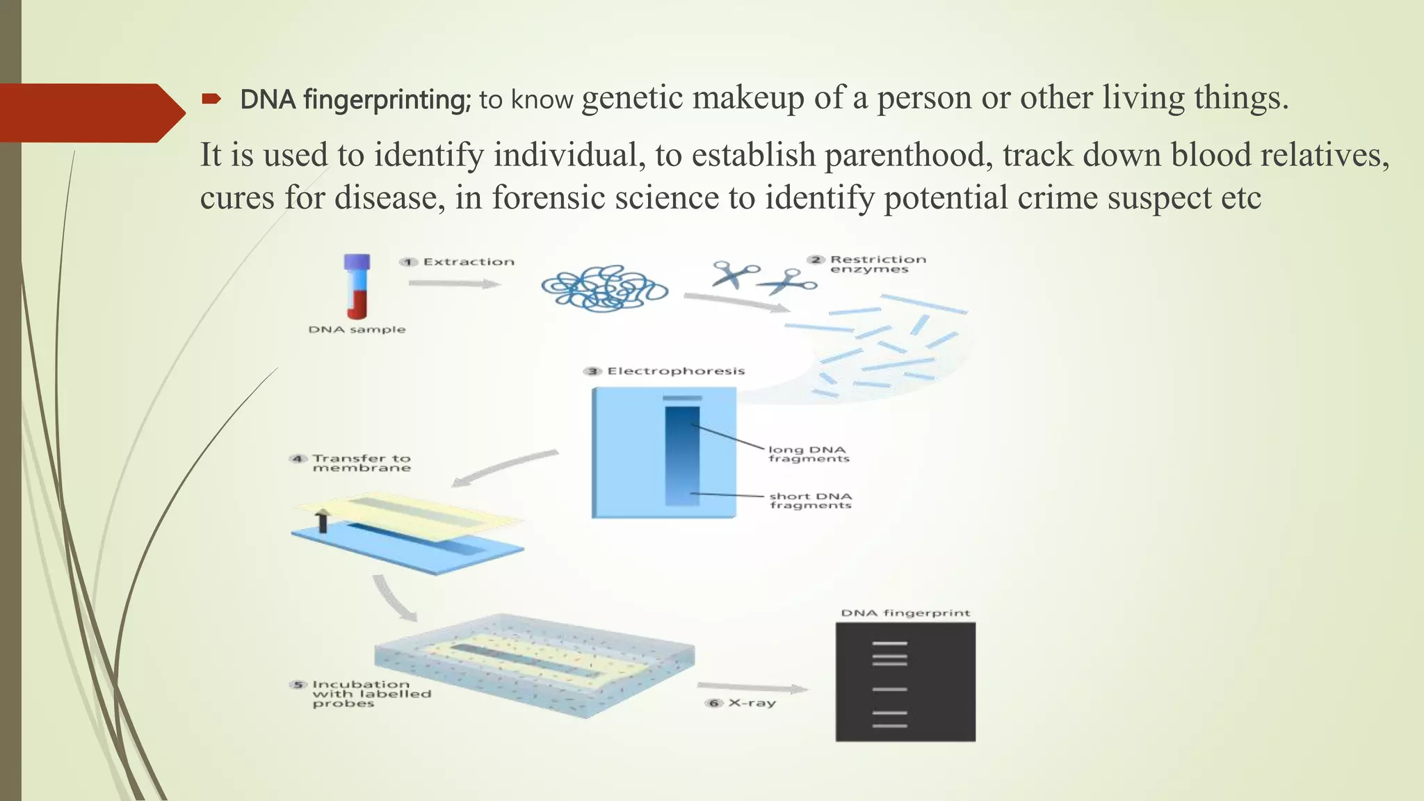  DNA fingerprinting; to know genetic makeup of a person or other living things.
It is used to identify individual, to establish parenthood, track down blood relatives,
cures for disease, in forensic science to identify potential crime suspect etc
 