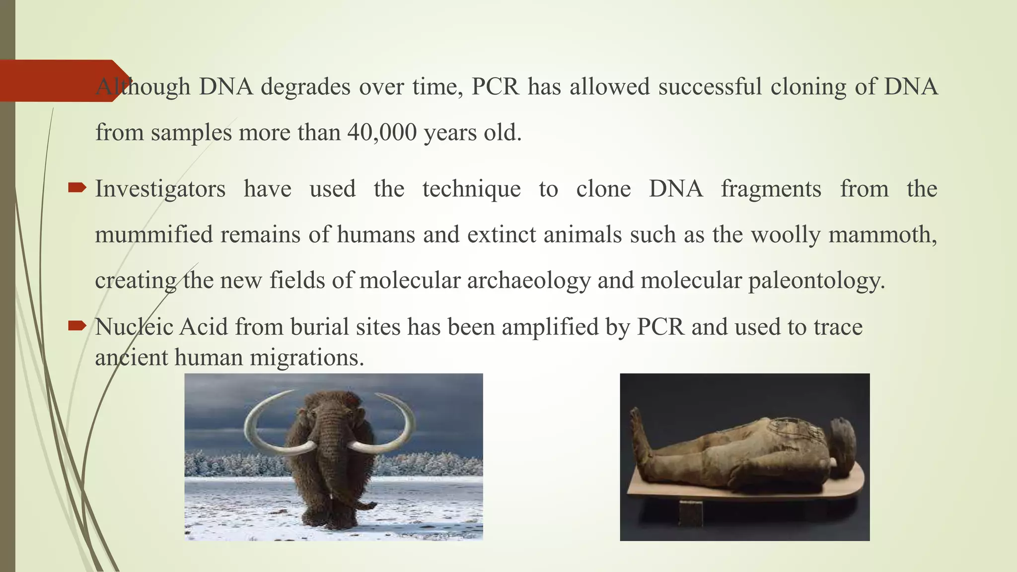  Although DNA degrades over time, PCR has allowed successful cloning of DNA
from samples more than 40,000 years old.
 Investigators have used the technique to clone DNA fragments from the
mummified remains of humans and extinct animals such as the woolly mammoth,
creating the new fields of molecular archaeology and molecular paleontology.
 Nucleic Acid from burial sites has been amplified by PCR and used to trace
ancient human migrations.
 