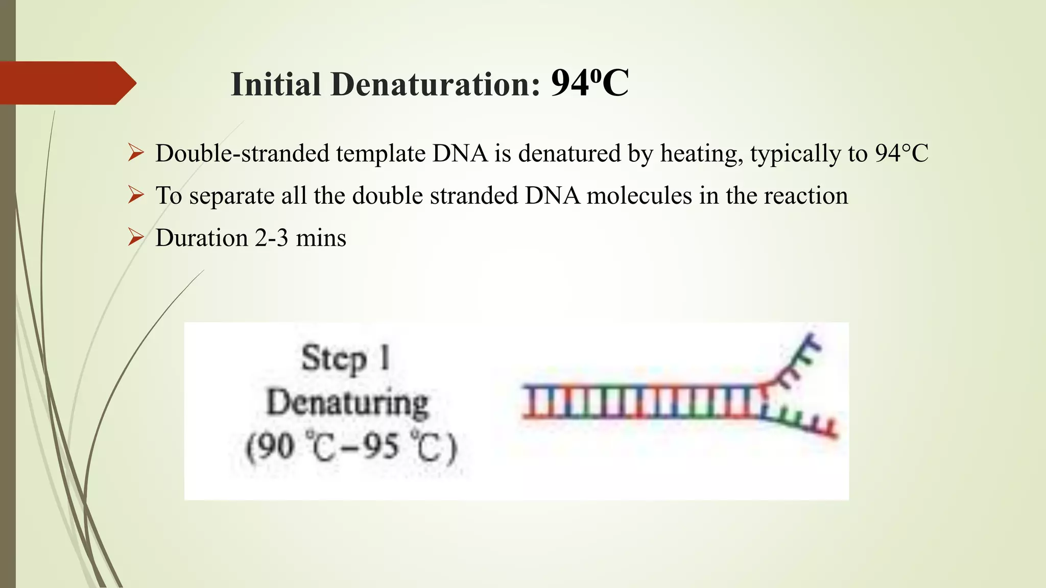 Initial Denaturation: 94⁰C
 Double-stranded template DNA is denatured by heating, typically to 94°C
 To separate all the double stranded DNA molecules in the reaction
 Duration 2-3 mins
 