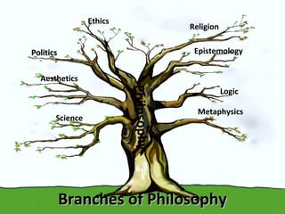 Branches of PhilosophyBranches of Philosophy
Ethics
PoliticsPolitics
Religion
Metaphysics
Logic
Epistemology
Aesthetics
Science
Philosophy
 