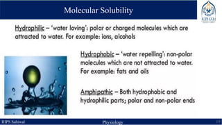 RIPS Sahiwal Physiology 19
Molecular Solubility
 