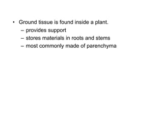 – provides support
– stores materials in roots and stems
– most commonly made of parenchyma
• Ground tissue is found inside a plant.
 
