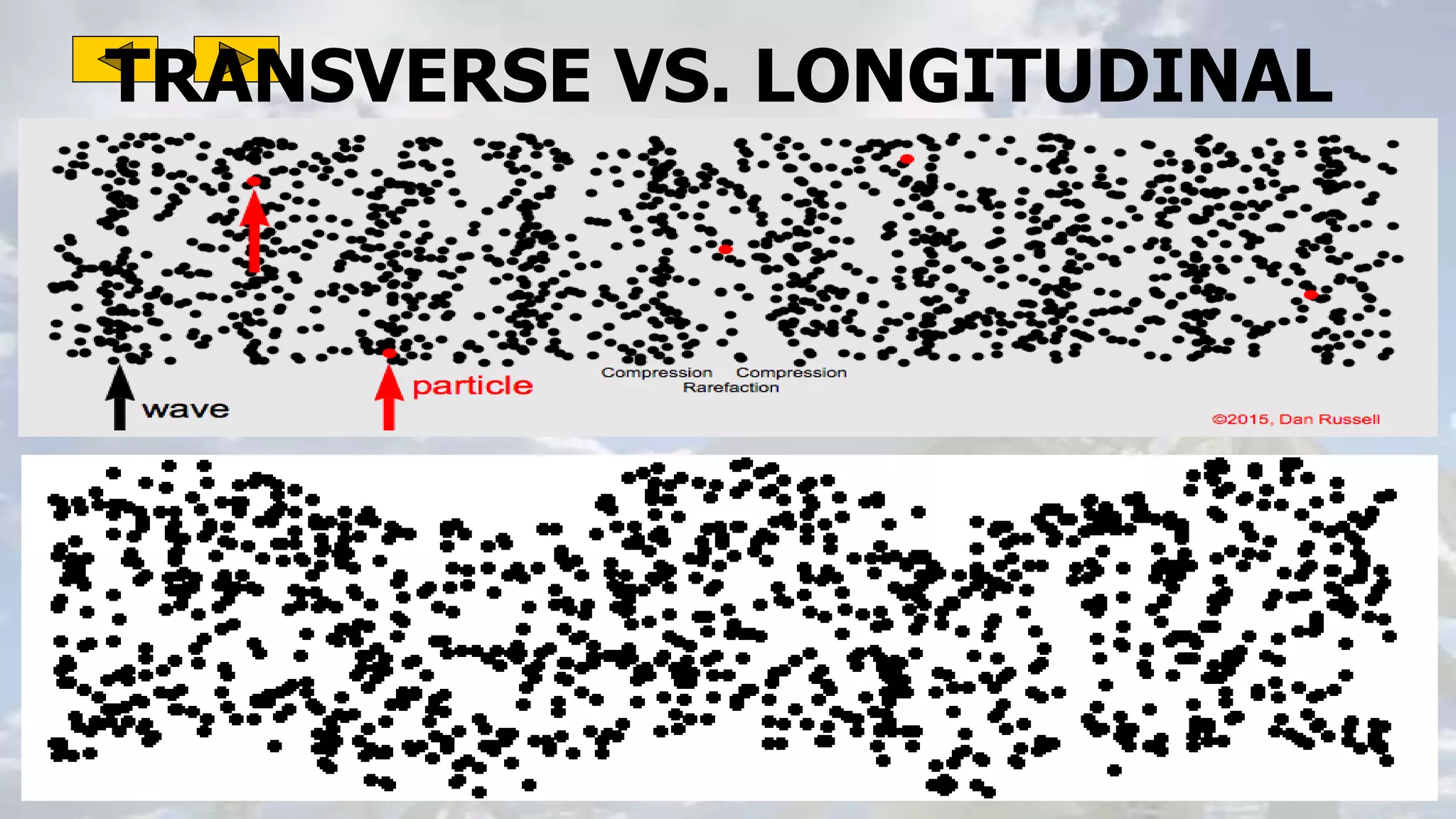 TRANSVERSE VS. LONGITUDINAL
 