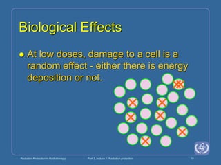 Radiation Protection in Radiotherapy Part 3, lecture 1: Radiation protection 19
Biological Effects
 At low doses, damage to a cell is a
random effect - either there is energy
deposition or not.
 