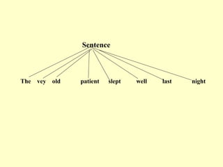 Sentence
The vey old patient slept well last night
 