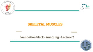 Foundation block - Anatomy - Lecture 2
SKELETAL MUSCLES
 