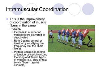 Intramuscular Coordination
 This is the improvement
of coordination of muscle
fibers in the same
muscle.
 Increase in number of
muscle fibers activated or
deactivated
 Rate Coding: control of
tension by modifying the
frequency that the fibers
fire at
 Pattern Encoding: control
of tension by synchronizing
the firing of different types
of muscle (e.g. slow or fast
twitch fibers….sprint
example)
 