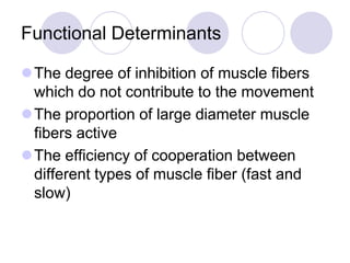 Functional Determinants
The degree of inhibition of muscle fibers
which do not contribute to the movement
The proportion of large diameter muscle
fibers active
The efficiency of cooperation between
different types of muscle fiber (fast and
slow)
 