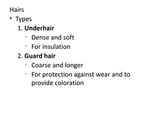 Hairs
• Types
   1. Underhair
      •
        Dense and soft
      •
        For insulation
   2. Guard hair
      •
        Coarse and longer
      •
        For protection against wear and to
        provide coloration
 