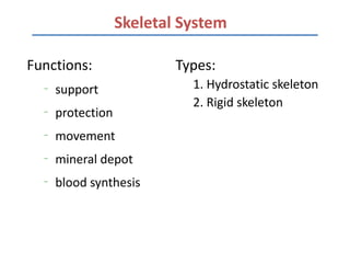 Skeletal System

Functions:                 Types:
  –
      support                1. Hydrostatic skeleton
                             2. Rigid skeleton
  –
      protection
  –
      movement
  –
      mineral depot
  –
      blood synthesis
 