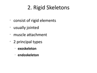 2. Rigid Skeletons
•
    consist of rigid elements
•
    usually jointed
•
    muscle attachment
•
    2 principal types
    –
        exoskeleton
    –
        endoskeleton
 